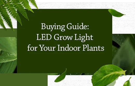 Buying Guide: LED Grow Light for Your Indoor Plants（2023）