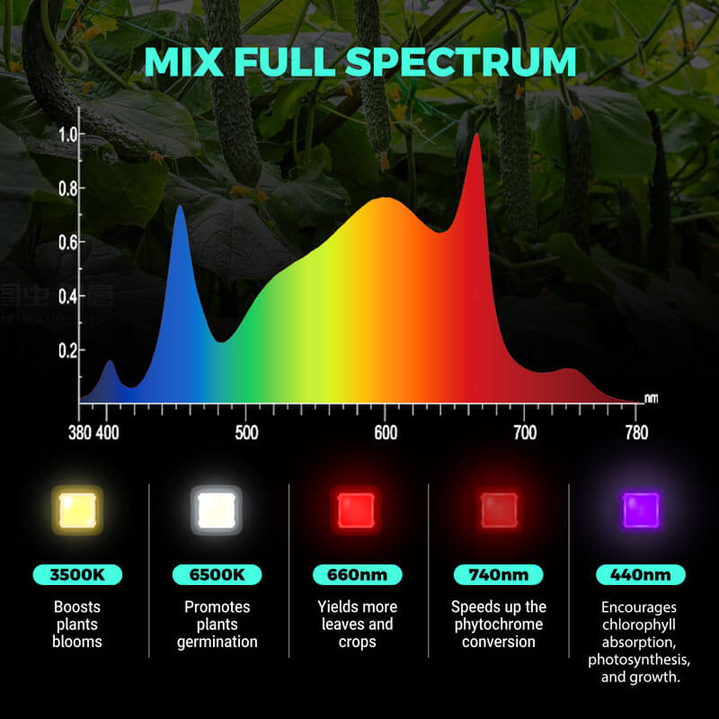 PHLIZON PH-B6 320W Full-spectrum Dimmable UV/IR LED Grow Light with Samsung 281b LED