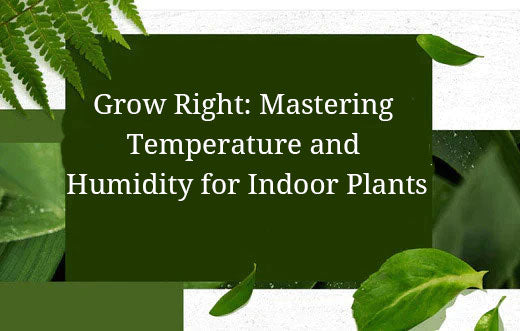 Grow Right: Mastering Temperature & Humidity for Indoor Plants