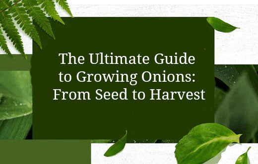 The Ultimate Guide to Growing Onions: From Seed to Harvest