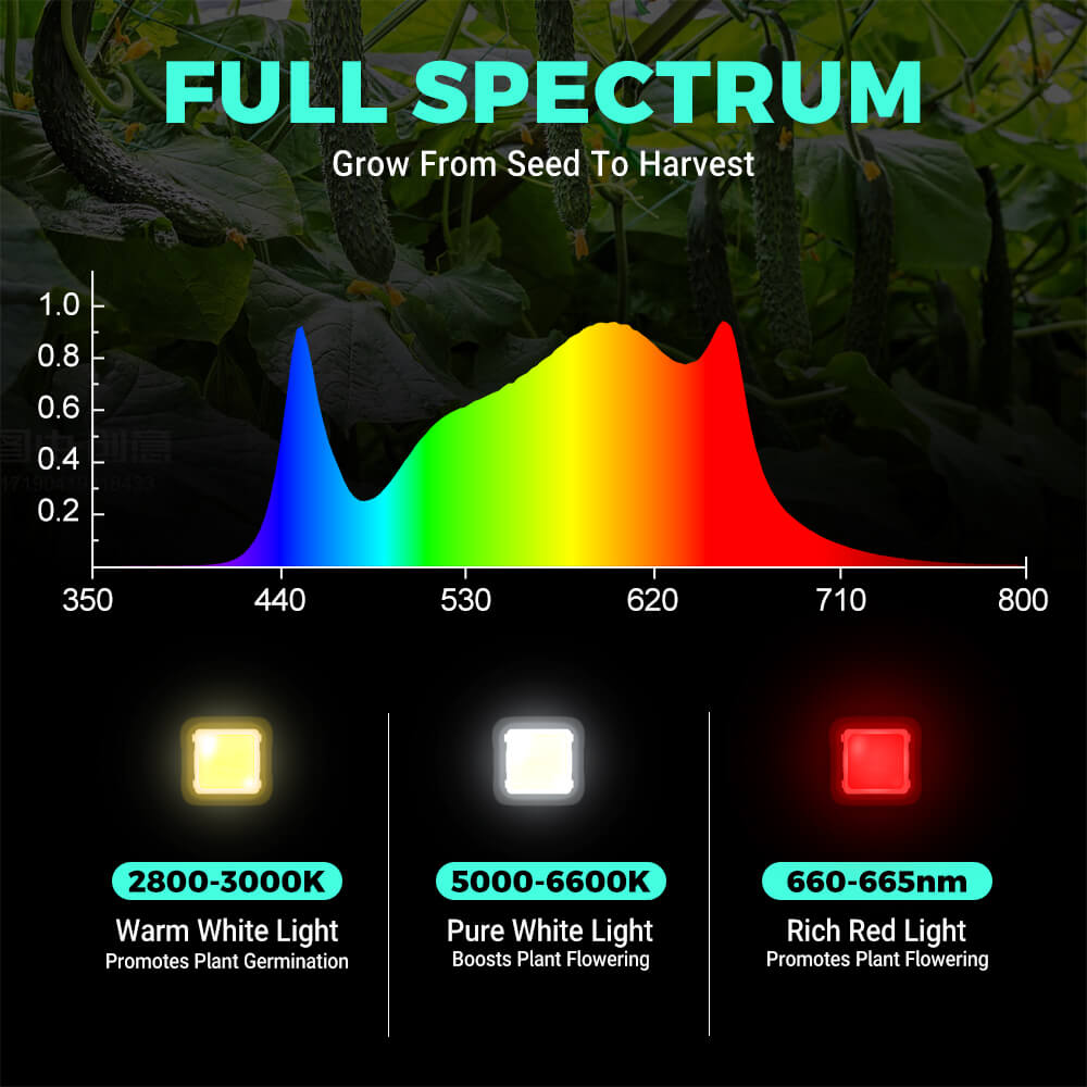 PHLIZON FD6000 PLUS 640W Full-spectrum Daisy Chain Dimmable LED Grow Light Detachable Driver