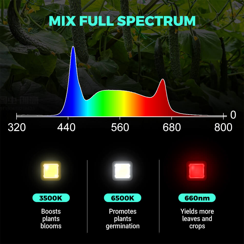 PHLIZON FD6000 PLUS 640W Full-spectrum Daisy Chain Dimmable LED Grow Light Detachable Driver
