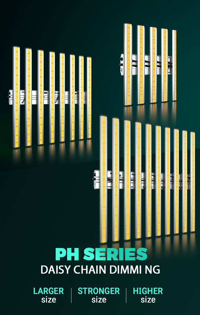 phlizon ph series grow light