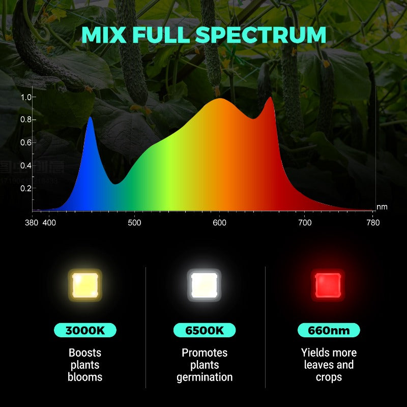 PHLIZON PH-B8-D 640W Full-spectrum Dimmable LED Grow Light with Samsung 281B LED